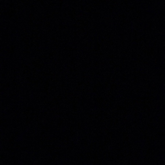 Meet your Posher, Cassidy - Picture 1 of 1